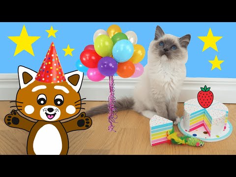 Pukkins och kattungen Frasse firar födelsedag - Lek och lär dig färger - Lek med oss
