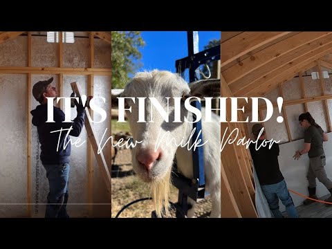 Finishing Out The Goat Milking Parlor | Three Little Goats Homestead Vlog