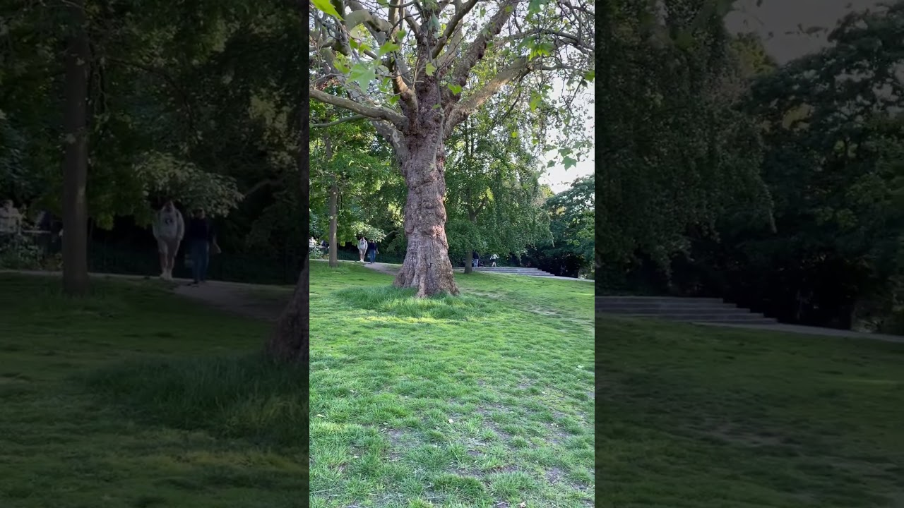 YouTube Short thumbnail