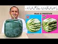 Square Watermelons Pakistan | Square Watermelon Farming | Mubashir Saddique | Village Food Secrets