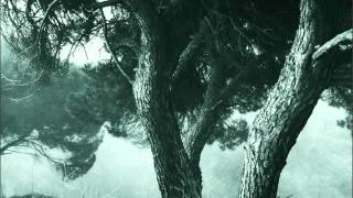 José Afonso - &quot;Oh! Que calma vai caindo&quot; do disco &quot;Contos Velhos, Rumos Novos&quot; (LP 1969)