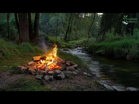 A babbling brook beside a campfire in the woods - The soothing sounds of nature