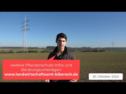 Pflanzenbau Aktuell - Unkräuter und -gräser in Wintergetreide, Nachbehandlung Raps und Schnecken