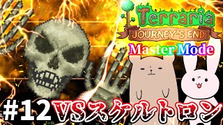 【Terraria】ドラゴンフライ＝トンボって皆知ってた？ Master mode #12【Journey's End/ゆっくり実況】