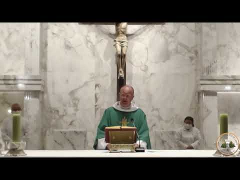 14ª Semana do Tempo Comum | Quarta-feira Dia 08/07/2020