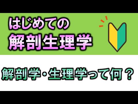 ポリシスチダ科について詳しく解説