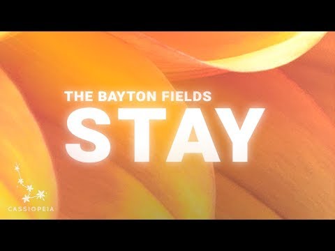 The Bayton Fields - Stay (feat. Sam Gouthro) Lyrics