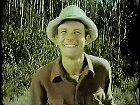 The Monroes 1966 (ABC TV Series) Episode 7, 8, 9 & 10/26