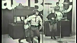 Young Rascals - I&#39;ve Been Lonely Too Long (Live)