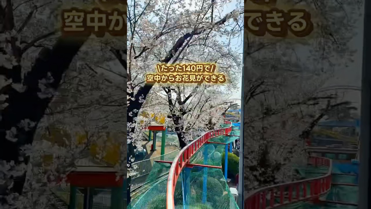 関東でここだけらしいよ空中お花見