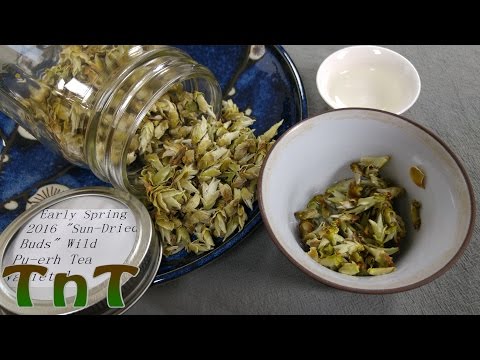 Yunnan Sourcing Early Spring 2016 "Sun-Dried Buds" Wild Pu Erh - Quick Tea Review #3