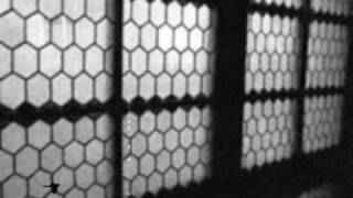 Current 93 - St. Peter's Keys All Bloody