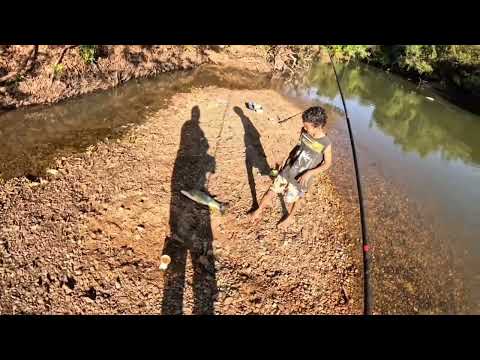 MAIS UM BELO DIA DE PESCA DE PIAPARA NO RIO DOS BOIS! 🎣🔥