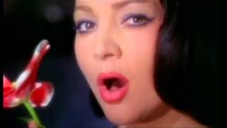Sara Montiel - Quizas,Quiza,Quizas