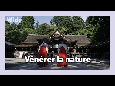 Vidéo YouTube : Hindouisme et Boudhisme