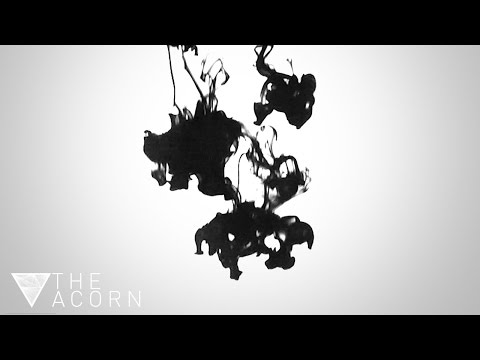 The Acorn – RAPIDS  (Official Video)