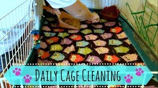 Guinea Pig Daily Cage Cleaning (fleece bedding)