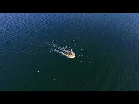 Bielu- Róża Wiatrów (Prod. Zane98) [MASHUP VIDEO.]