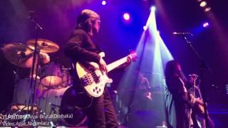 Download lagu Anak Brutal(Durhaka) - Elpamas - Live Concert In Holland mp3