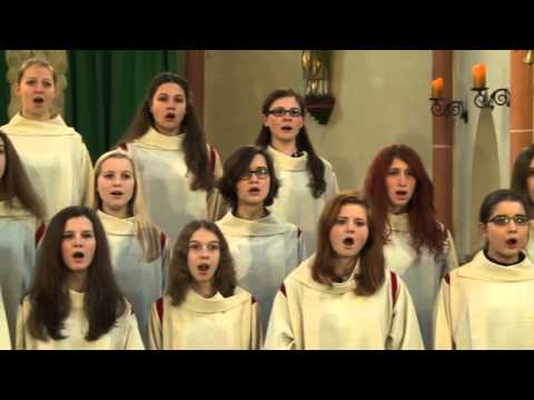 Gotteslobvideo (GL 218): Macht hoch die Tür, die Tor macht weit