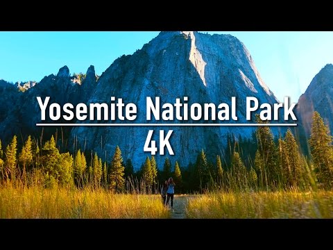 Yosemite National Park | Thru My Eyes 4k