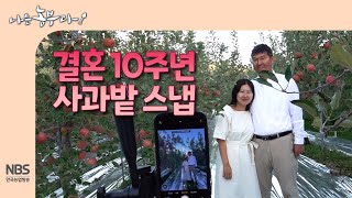 [나는농부다 273회] 사과 부부의 결혼 10주년 사과밭 스냅