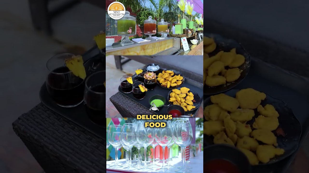 Plan the Perfect Birthday Party at MST Farm & Resort | Zero Budget Stress, Full-On Fun! in Ghaziabad