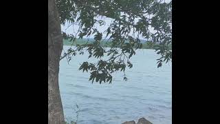 Download lagu BETTER TOGETHER • US THE DUO mp3 Download lagu BETTER TOGETHER • US THE DUO mp3