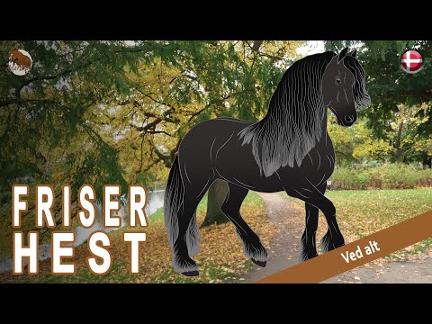 , title : 'FRISER HEST, heste, som er en del af Hollands kulturarv, HESTERACER'