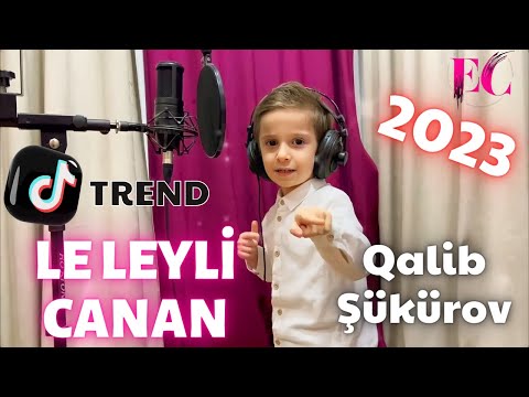 Qalib Sukurov - Le Leyli Canan | Dəli | 2023