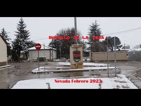 BUSTILLO DE LA VEGA NEVADA FEBRERO 2023