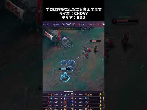 プロのレーニング