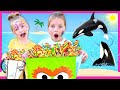 Secret Halloween Party At Sea World! Kin Tin and Roro Trick Or Treat, Corn Maze and Search For Clues