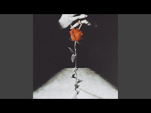 Flower From Concrete