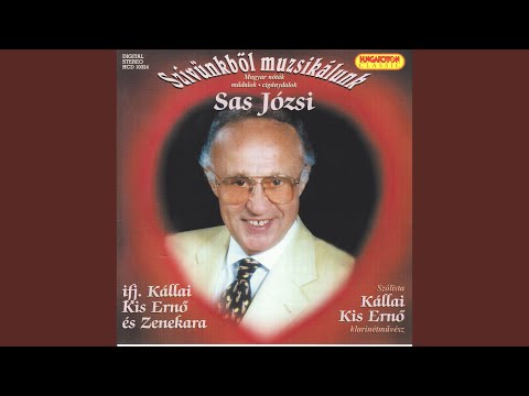 Eresz alatt fecskefészek