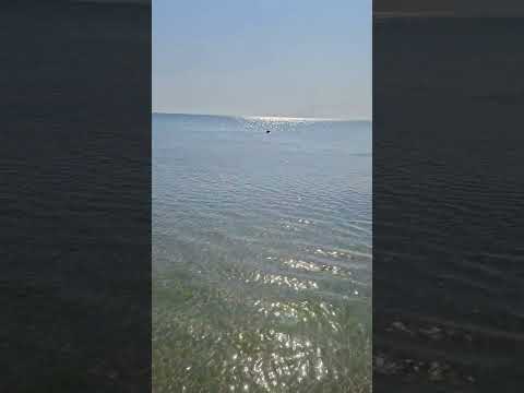 #2025 #varna #beachvibes #top #foryou ❤️❤️❤️🫢🫢🫢