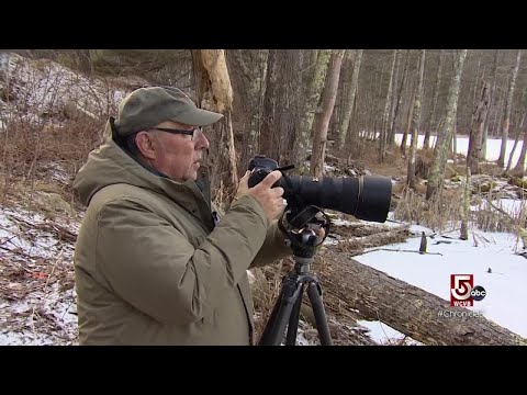 Walking in the Quabbin Woods