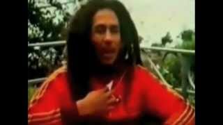 Marley Talks Politics