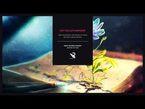 Amba Shepherd & Tom Swoon vs. Audien - Not Too Late Wayfarer (Matisse & Sadko Mashup)