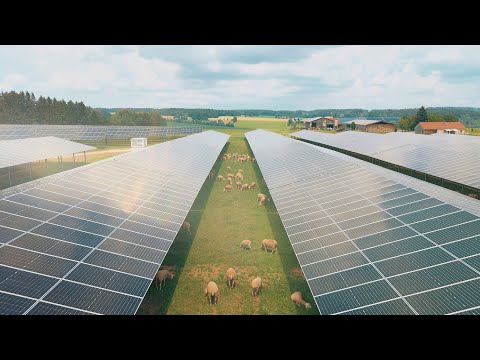 Erneuerbare Energie - Photovoltaik in der Landwirtschaft und Agri-PV