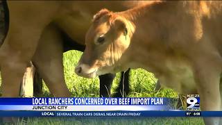 Oregon ranchers fear Trump's beef import plan hurts local farms