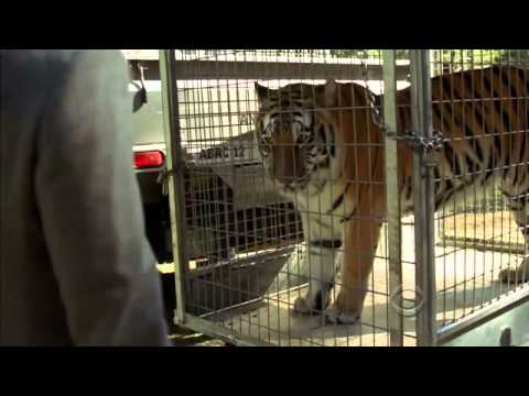 PROMO - The Mentalist - 'Ruddy Cheeks'