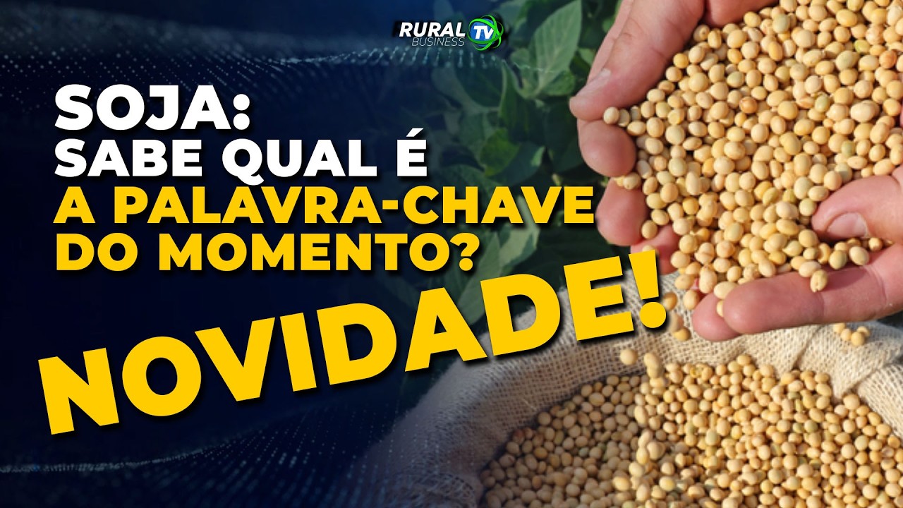 SOJA: SABE QUAL É A PALAVRA-CHAVE DO MOMENTO? NOVIDADE!