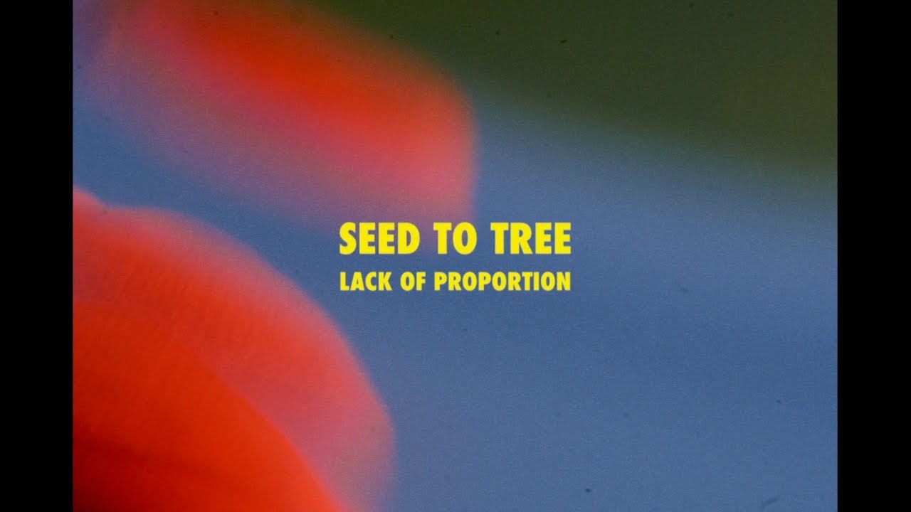 Seed To Tree - Lack of Proportion