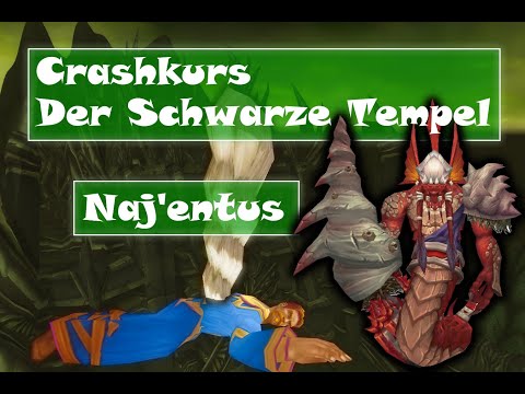 [WoW TBC] Der Schwarze Tempel Crashkurs - Naj'entus!