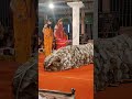 Wow Shorts Shortsvideo Viralshort Short Todayshorts Todayviralreels Vauna