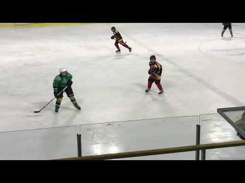 U-12 DP 30.12.2017 HK Olimpija Beli - HDD Bled 2:10, utrinki