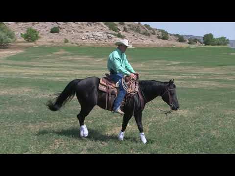 Ken McNabb: How to Ride Your Horse with Light Hands | Learn Shoulder, Ribcage & Hindquarter Control