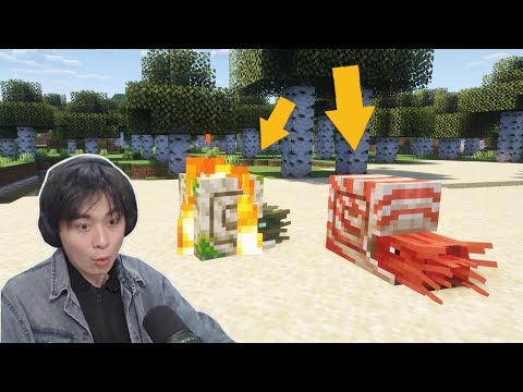 逮捕這隻MC新生物！有了它能當海王！Minecraft！# 阿山的比奇堡山丘#36期