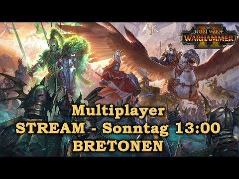 1v1 Multiplayer - BRETONEN - Fokus - Total War: Warhammer 2 Deutsch